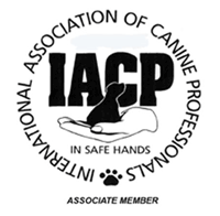 member of the IACP